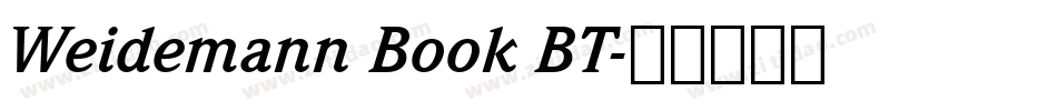 Weidemann Book BT字体转换